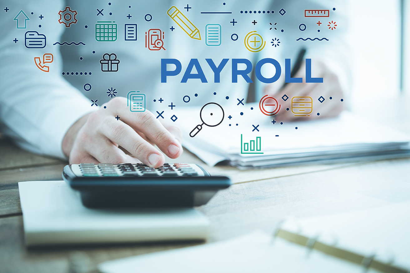 Payroll Service Icon